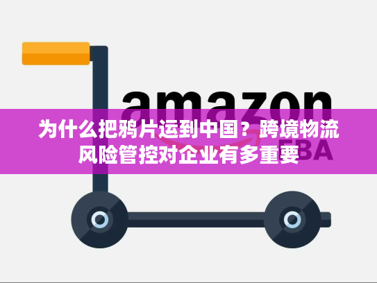 为什么把鸦片运到中国？跨境物流风险管控对企业有多重要