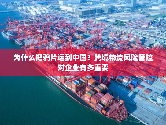 为什么把鸦片运到中国？跨境物流风险管控对企业有多重要