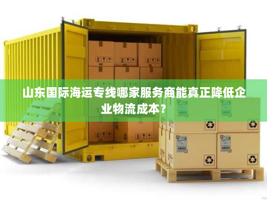 山东国际海运专线哪家服务商能真正降低企业物流成本? 山东国际海运专线哪家服务商能真正降低企业物流成本?