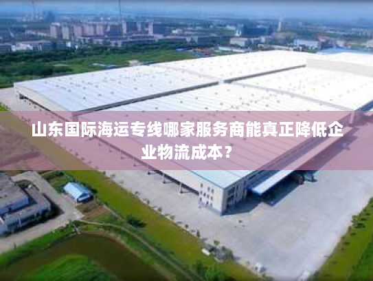 山东国际海运专线哪家服务商能真正降低企业物流成本? 山东国际海运专线哪家服务商能真正降低企业物流成本?