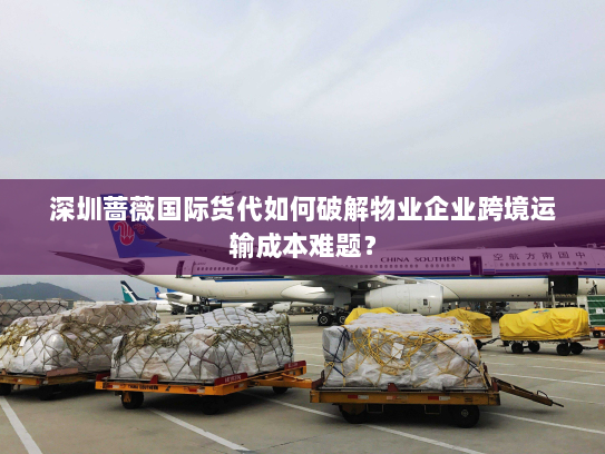 深圳蔷薇国际货代如何破解物业企业跨境运输成本难题？