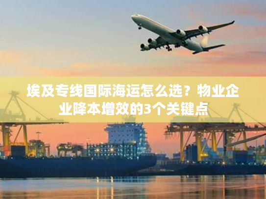 埃及专线国际海运怎么选?物业企业降本增效的3个关键点 埃及专线国际海运怎么选?物业企业降本增效的3个关键点