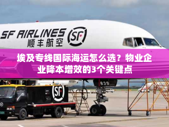 埃及专线国际海运怎么选?物业企业降本增效的3个关键点 埃及专线国际海运怎么选?物业企业降本增效的3个关键点