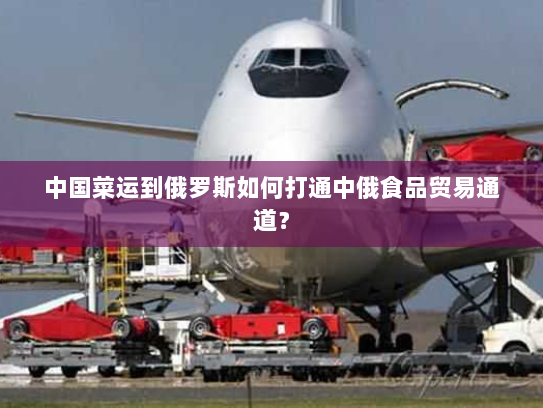 中国菜运到俄罗斯如何打通中俄食品贸易通道? 中国菜运到俄罗斯如何打通中俄食品贸易通道?