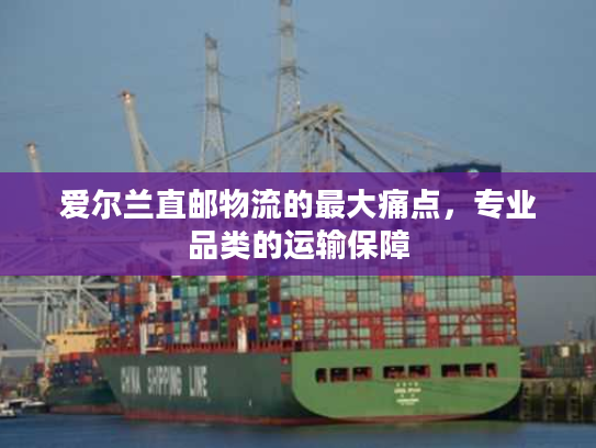 爱尔兰直邮物流的最大痛点,专业品类的运输保障 爱尔兰直邮物流的最大痛点,专业品类的运输保障