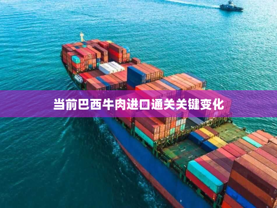 当前巴西牛肉进口通关关键变化