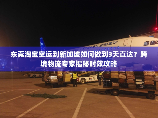 东莞淘宝空运到新加坡如何做到3天直达?跨境物流专家揭秘时效攻略 东莞淘宝空运到新加坡如何做到3天直达?跨境物流专家揭秘时效攻略