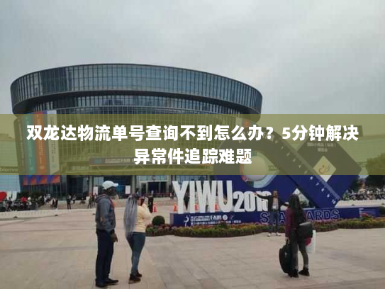 双龙达物流单号查询不到怎么办？5分钟解决异常件追踪难题