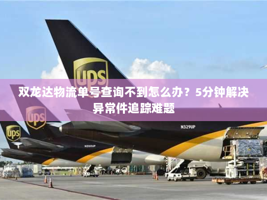 双龙达物流单号查询不到怎么办？5分钟解决异常件追踪难题