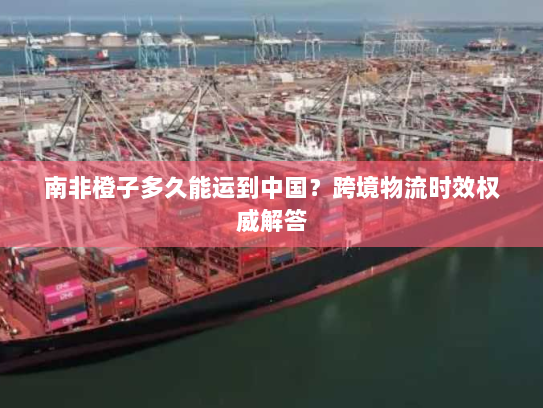 南非橙子多久能运到中国?跨境物流时效权威解答 南非橙子多久能运到中国?跨境物流时效权威解答