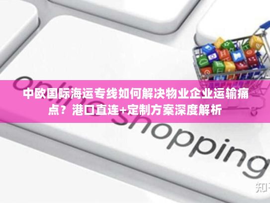 中欧国际海运专线如何解决物业企业运输痛点?港口直连+定制方案深度解析 中欧国际海运专线如何解决物业企业运输痛点?港口直连+定制方案深度解析