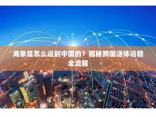 海象是怎么运到中国的?揭秘跨国活体运输全流程 海象是怎么运到中国的?揭秘跨国活体运输全流程
