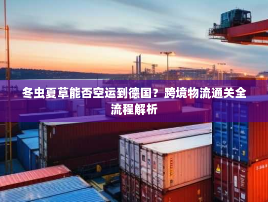 冬虫夏草能否空运到德国？跨境物流通关全流程解析