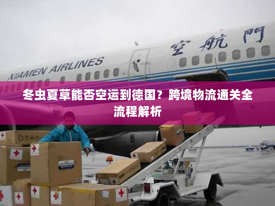 冬虫夏草能否空运到德国？跨境物流通关全流程解析