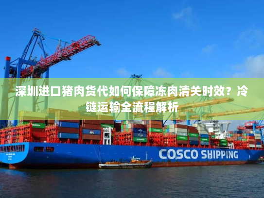 深圳进口猪肉货代如何保障冻肉清关时效?冷链运输全流程解析 深圳进口猪肉货代如何保障冻肉清关时效?冷链运输全流程解析