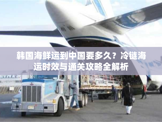 韩国海鲜运到中国要多久？冷链海运时效与通关攻略全解析