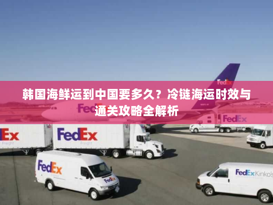 韩国海鲜运到中国要多久？冷链海运时效与通关攻略全解析