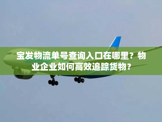 宝发物流单号查询入口在哪里?物业企业如何高效追踪货物? 宝发物流单号查询入口在哪里?物业企业如何高效追踪货物?