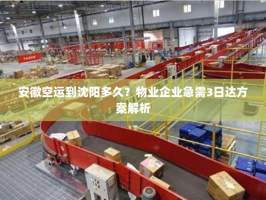 安徽空运到沈阳多久?物业企业急需3日达方案解析 安徽空运到沈阳多久?物业企业急需3日达方案解析