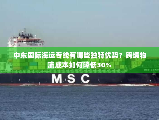 中东国际海运专线有哪些独特优势?跨境物流成本如何降低30% 中东国际海运专线有哪些独特优势?跨境物流成本如何降低30%