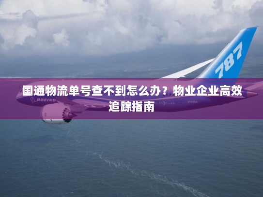 国通物流单号查不到怎么办？物业企业高效追踪指南