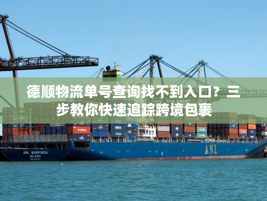 德顺物流单号查询找不到入口？三步教你快速追踪跨境包裹