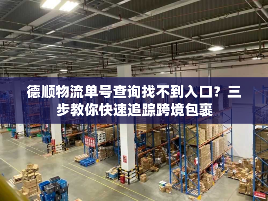 德顺物流单号查询找不到入口？三步教你快速追踪跨境包裹
