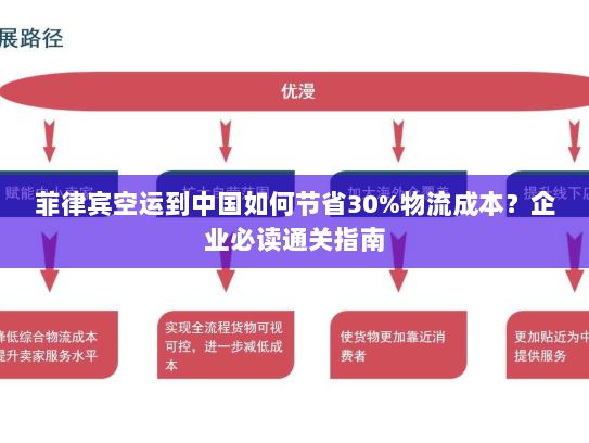 菲律宾空运到中国如何节省30%物流成本？企业必读通关指南