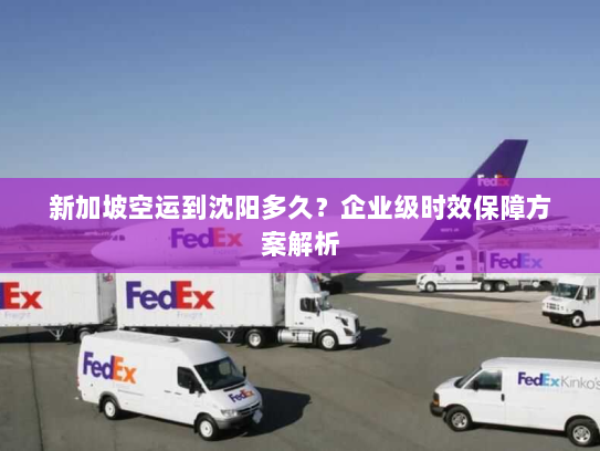 新加坡空运到沈阳多久？企业级时效保障方案解析