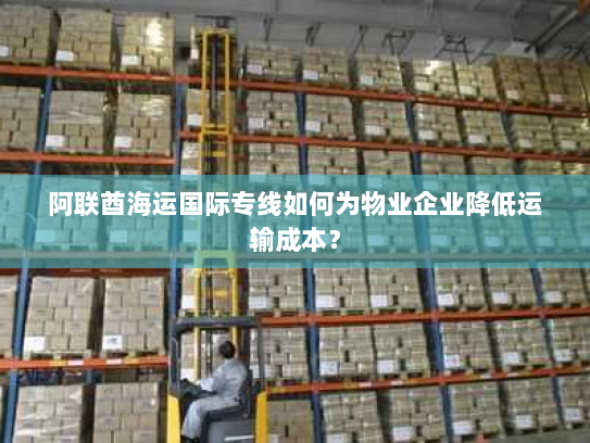 阿联酋海运国际专线如何为物业企业降低运输成本? 阿联酋海运国际专线如何为物业企业降低运输成本?