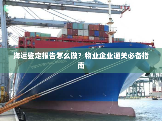 海运鉴定报告怎么做？物业企业通关必备指南