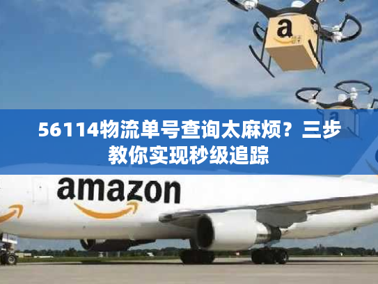 56114物流单号查询太麻烦？三步教你实现秒级追踪