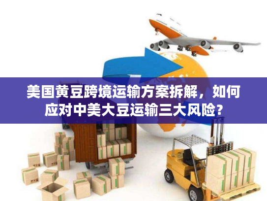 美国黄豆跨境运输方案拆解，如何应对中美大豆运输三大风险？