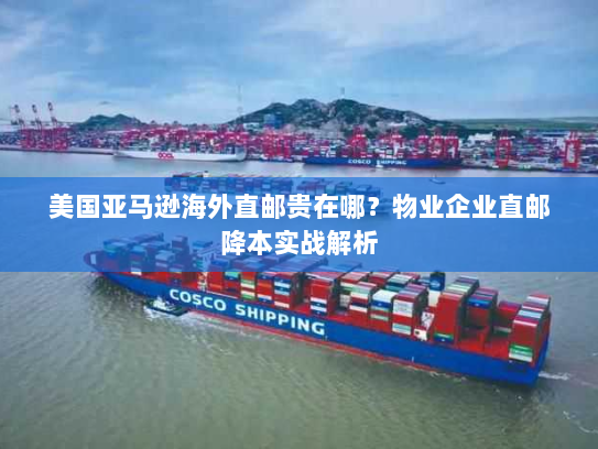 美国亚马逊海外直邮贵在哪?物业企业直邮降本实战解析 美国亚马逊海外直邮贵在哪?物业企业直邮降本实战解析