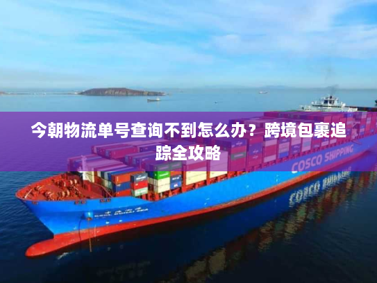 今朝物流单号查询不到怎么办？跨境包裹追踪全攻略