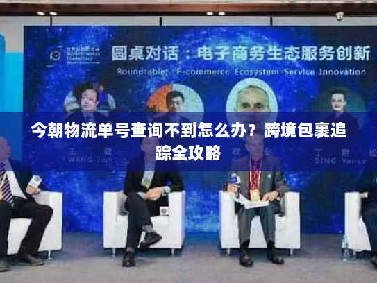 今朝物流单号查询不到怎么办？跨境包裹追踪全攻略