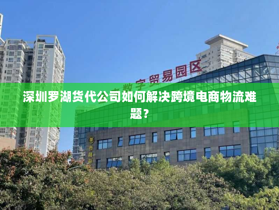 深圳罗湖货代公司如何解决跨境电商物流难题？