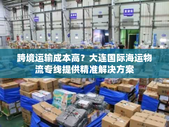 跨境运输成本高？大连国际海运物流专线提供精准解决方案
