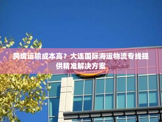 跨境运输成本高?大连国际海运物流专线提供精准解决方案 跨境运输成本高?大连国际海运物流专线提供精准解决方案