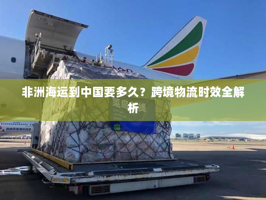 非洲海运到中国要多久?跨境物流时效全解析 非洲海运到中国要多久?跨境物流时效全解析