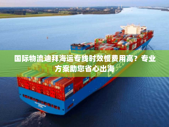 国际物流迪拜海运专线时效慢费用高？专业方案助您省心出海