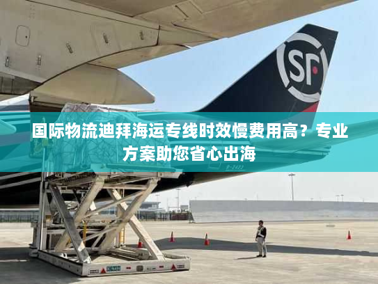 国际物流迪拜海运专线时效慢费用高？专业方案助您省心出海