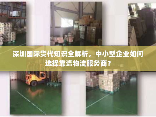 深圳国际货代知识全解析,中小型企业如何选择靠谱物流服务商? 深圳国际货代知识全解析,中小型企业如何选择靠谱物流服务商?