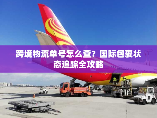 跨境物流单号怎么查？国际包裹状态追踪全攻略