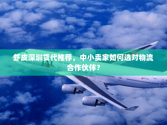 虾皮深圳货代推荐,中小卖家如何选对物流合作伙伴? 虾皮深圳货代推荐,中小卖家如何选对物流合作伙伴?
