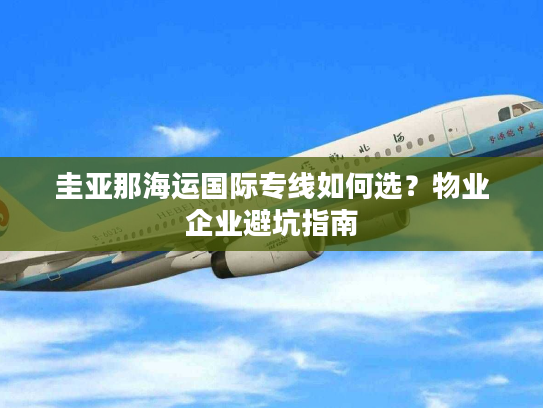 圭亚那海运国际专线如何选？物业企业避坑指南