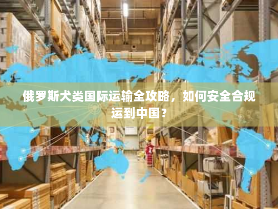 俄罗斯犬类国际运输全攻略,如何安全合规运到中国? 俄罗斯犬类国际运输全攻略,如何安全合规运到中国?