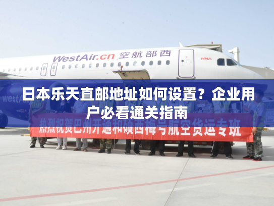 日本乐天直邮地址如何设置？企业用户必看通关指南