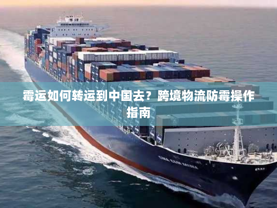 霉运如何转运到中国去?跨境物流防霉操作指南 霉运如何转运到中国去?跨境物流防霉操作指南