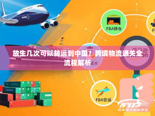 放生几次可以转运到中国？跨境物流通关全流程解析